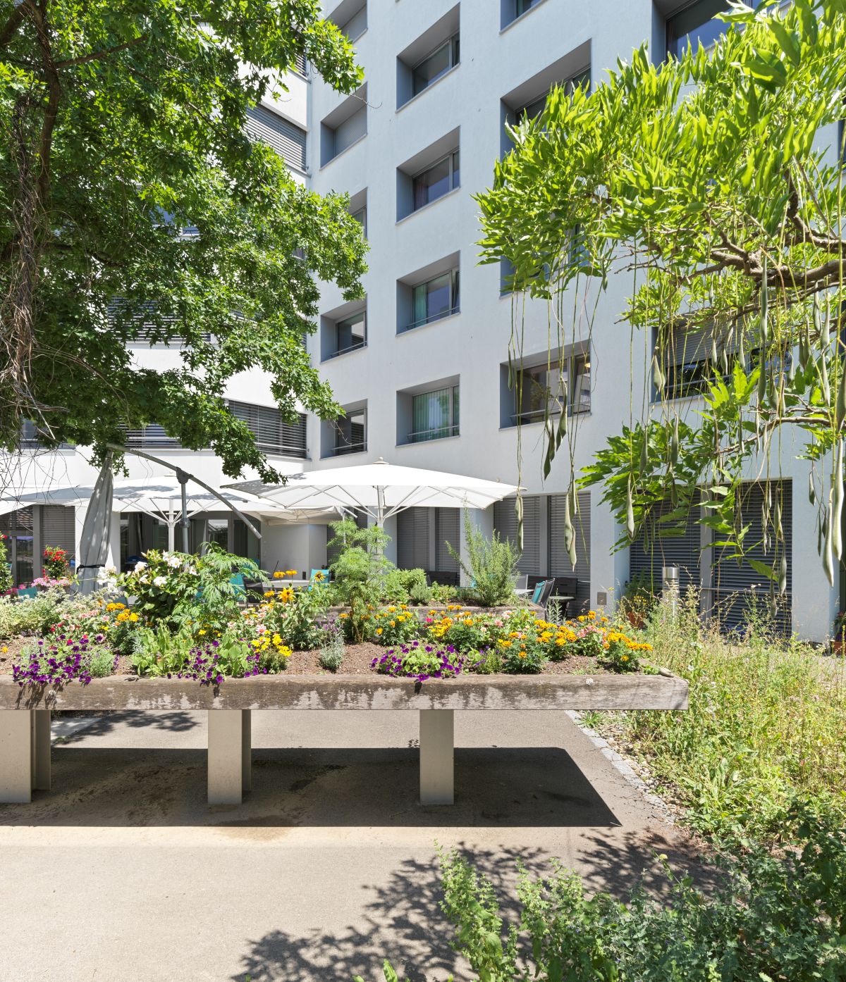 Company Description Image