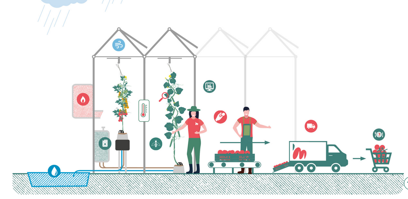 Company Description Image